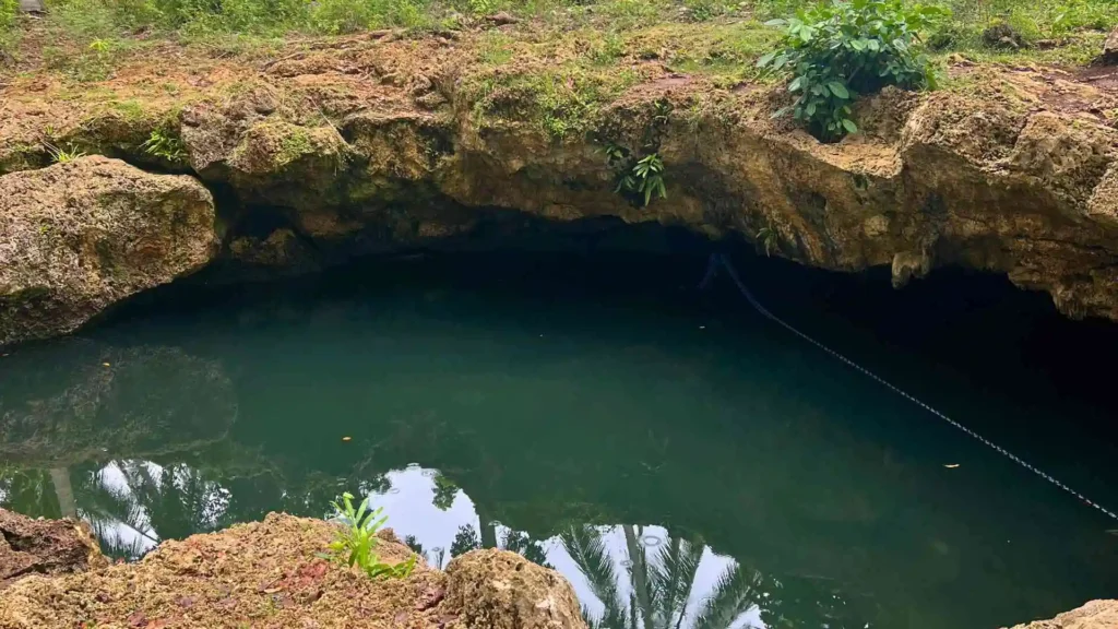 Anda-Candijay Tour - A natural underground cave with a water-filled entrance is surrounded by rocky edges and greenery. The water is still, reflecting nearby plants and trees. Small plants are also growing around the rocky edge of the cave.