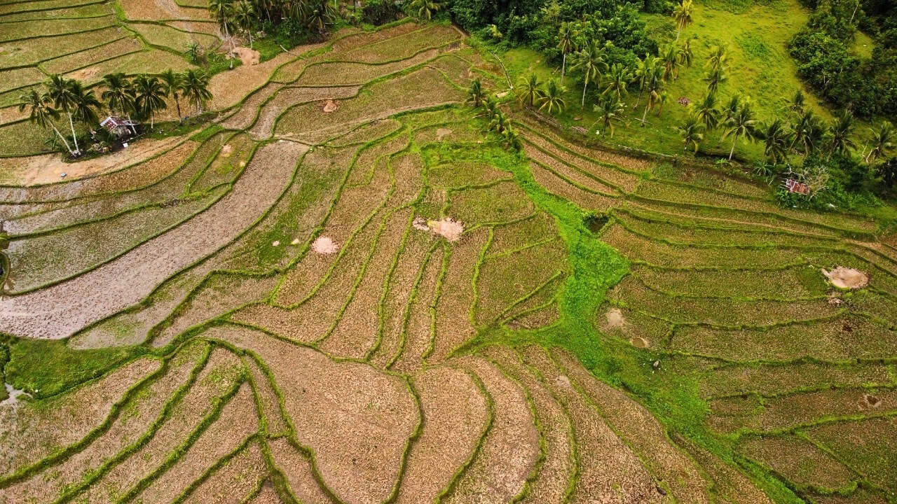 Aerial view of Cadapdapan Rice Terraces in Bohol Philippines