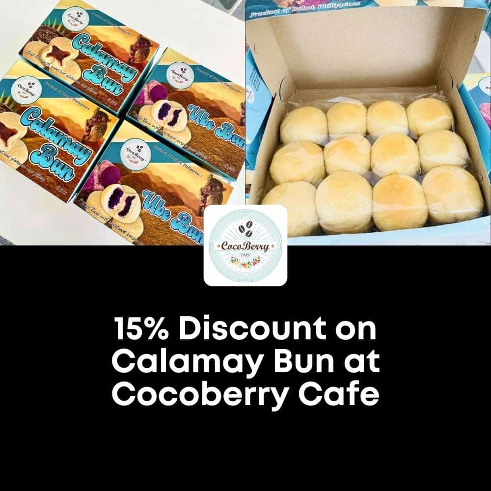 Calamay buns and ube buns in packaging and box from CocoBerry Cafe Bohol