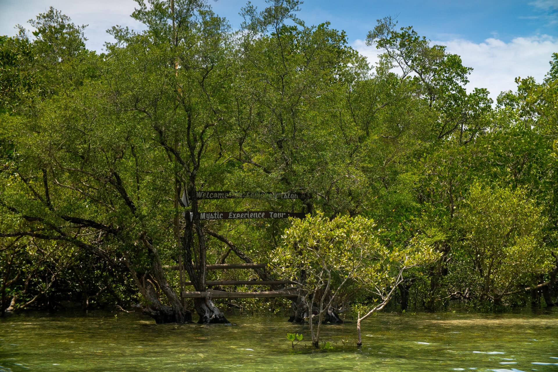 Mangrove forest and wooden landing area at Lamanok Island in Anda, Bohol Island Geopark, Philippines.
