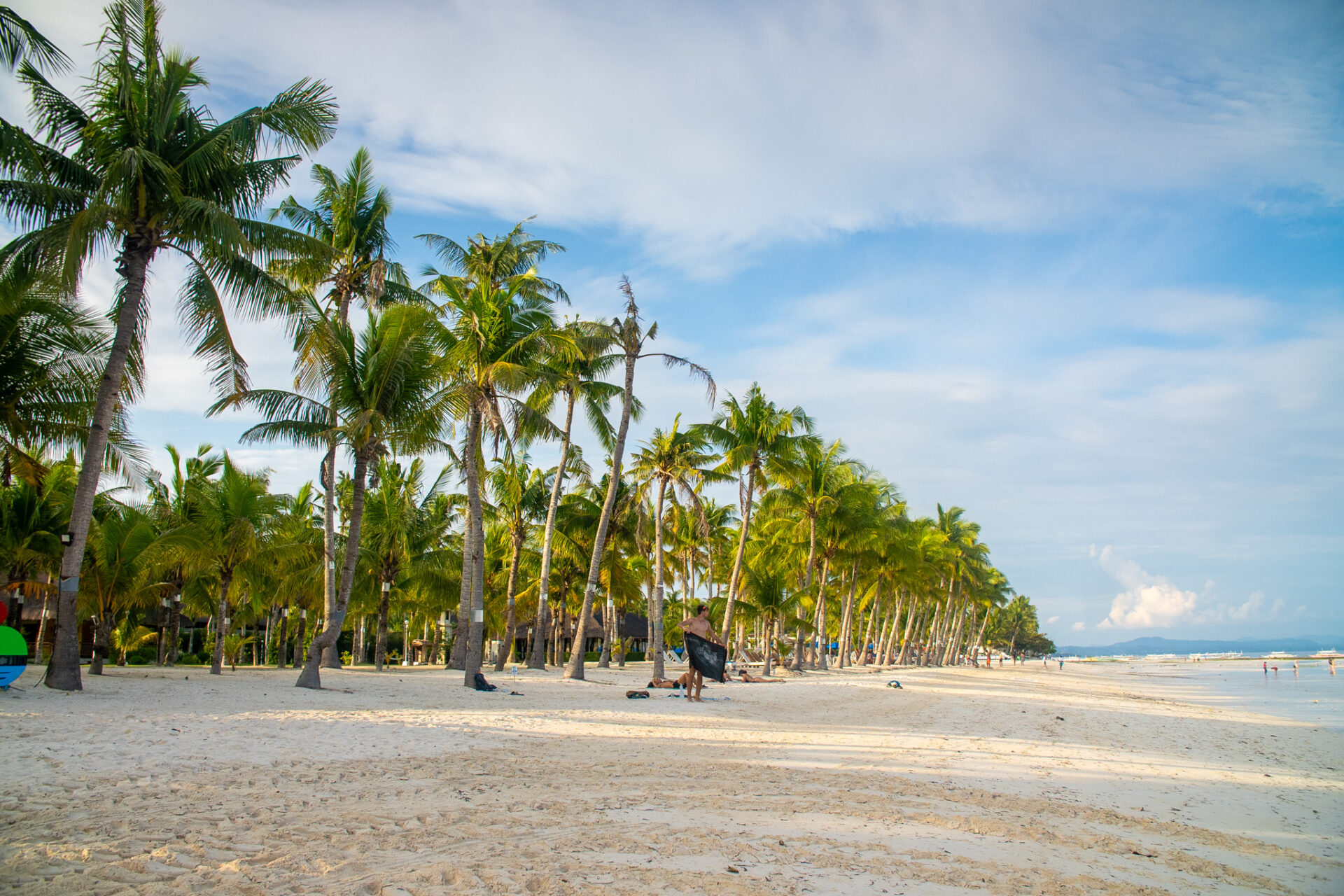 Panoramic view of Panglao Beach in Bohol featuring powdery white sand, coconut trees, and crystal-clear waters.