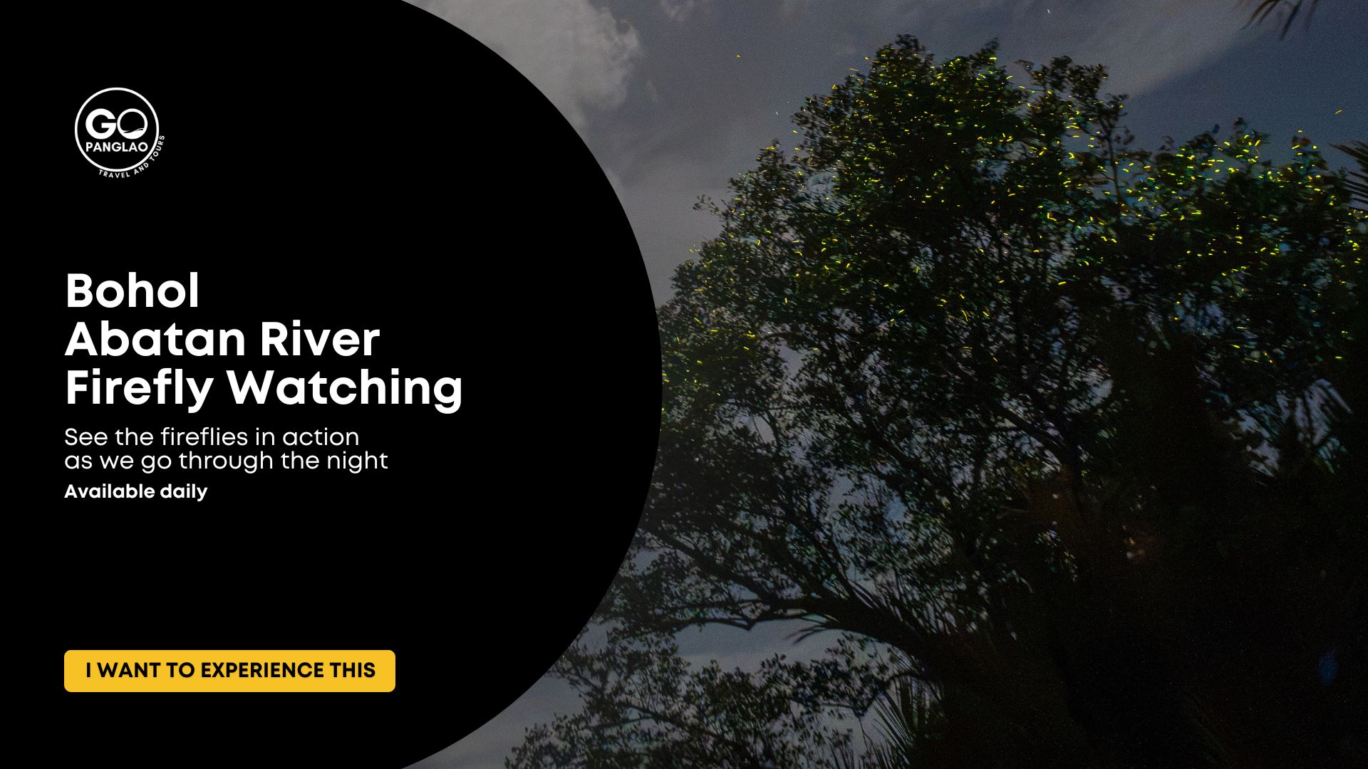 Fireflies glowing around trees at night during an Abatan River firefly watching tour in Bohol
